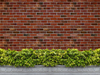 Pattern Motif Brick Wall`MB 54